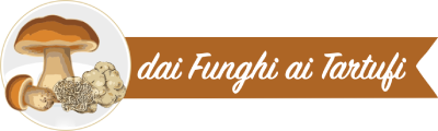 Questa immagine ha l'attributo alt vuoto; il nome del file è Logo-dai-Funghi-ai-Tartufi_orizzontale-1.png