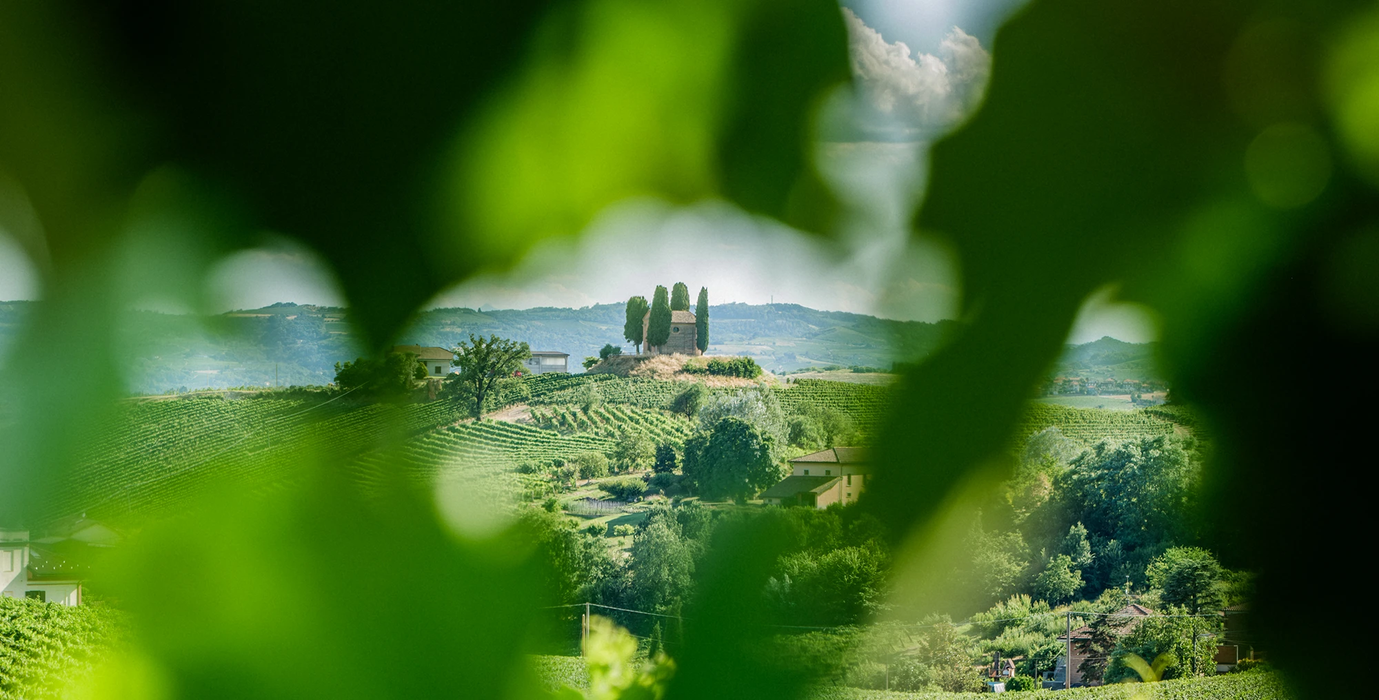 One of the views from Cascina La Barbatella: the little church of the Madonna della Neve in a panoramic position