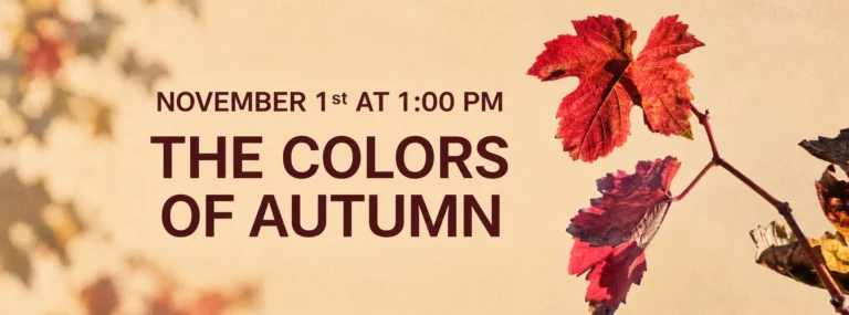 The colors of th Autumn event's cover