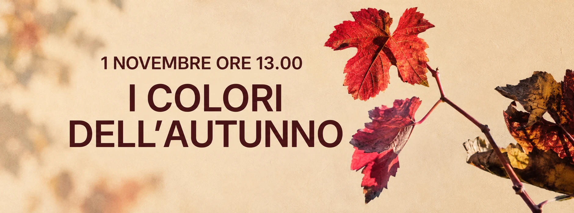 Copertina evento I colori dell'Autunno 2026