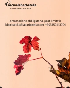 Eventi I colori dell'Autunno, pagina 1